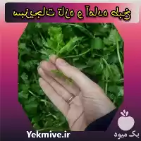 قیمت خرید ارگانیک رافام در اصفهان در گروه خرید و فروش سبزیجات در یکمیوه