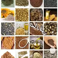 فروش انواع دانه های روغنی در گروه خرید و فروش دانه های روغنی در یکمیوه