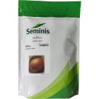 فروش بذر گلدن ای در بندرعباس در گروه خرید و فروش بذر پیاز در یکمیوه