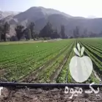 فروش نوار تیپ نوارتیپ لوله پلی اتیدن در گروه خرید و فروش نوار تیپ در یکمیوه