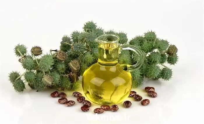 خرید روغن کرچک انواع روغن در ساری در گروه خرید و فروش انواع روغن در یکمیوه -عکس1