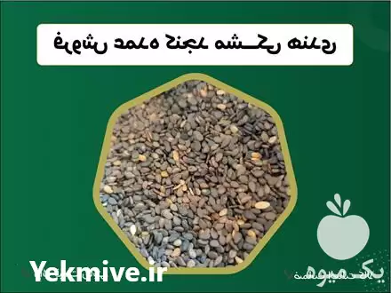 فروش کنجد مشکی هندی در قم در گروه خرید و فروش دانه های روغنی در یکمیوه -عکس1