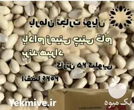 فروش بادام زمینی پوست کنده چینی در تهران در گروه خرید و فروش بادام در یکمیوه -عکس1