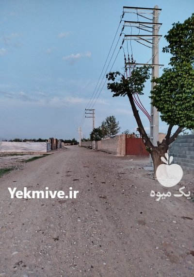 زمین روستایی دامداری سنتی در گروه سایر ملک و زمین روستایی کشاورزی دامداری در یکمیوه -عکس2