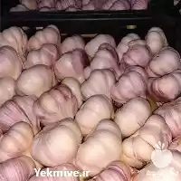 فروش انواع گیاهان دارویی در اصفهان در گروه خرید و فروش گیاهان دارویی در یکمیوه