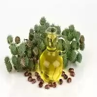 خرید روغن کرچک انواع روغن در ساری در گروه خرید و فروش انواع روغن در یکمیوه