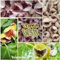 فروش عرضه عمده خرده انجیر در شیراز در گروه خرید و فروش انجیر در یکمیوه
