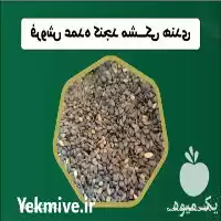 فروش کنجد مشکی هندی در قم در گروه خرید و فروش دانه های روغنی در یکمیوه