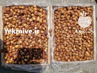 خرمای زاهدی درجه لوکس قیروکارزین در ایلام در گروه خرید و فروش خرما در یکمیوه -عکس1