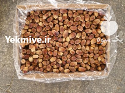 خرمای زاهدی درجه لوکس قیروکارزین در ایلام در گروه خرید و فروش خرما در یکمیوه -عکس2