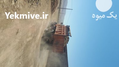 فروش کود دامی گاوی گوسفندی در قم در گروه خرید و فروش کود دامی در یکمیوه -عکس2