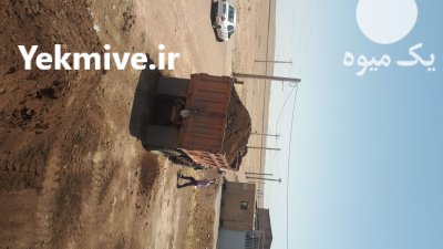 فروش کود حیوانی گاوی گوسفندی در قم در گروه خرید و فروش کود حیوانی در یکمیوه -عکس2