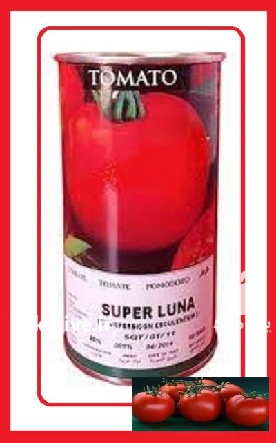 بذر گوجه فرنگی سوپر لونا در آبعلی در گروه خرید و فروش بذر گوجه در یکمیوه -عکس1