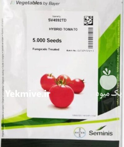 فروش بذر گوجه 4592 sv سمینیس در بشرویه در گروه خرید و فروش بذر گوجه در یکمیوه -عکس1