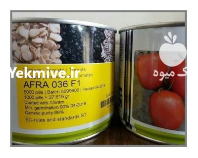 فروش بذر گوجه فرنگی افرا در باغین در گروه خرید و فروش بذر گوجه در یکمیوه -عکس1