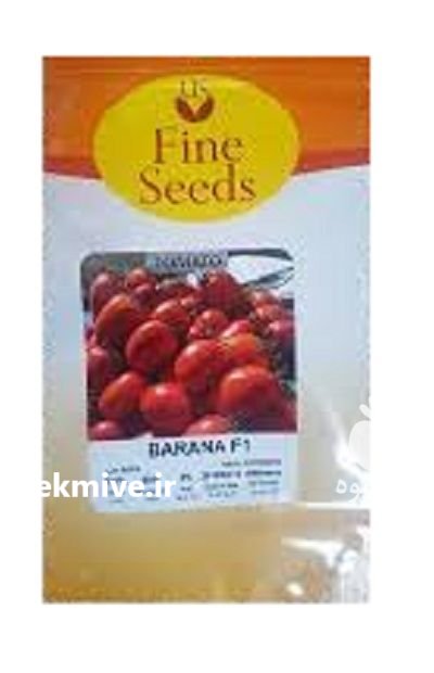 توزیع بذر گوجه فرنگی بارانا در بلبان آباد در گروه خرید و فروش بذر گوجه در یکمیوه -عکس1