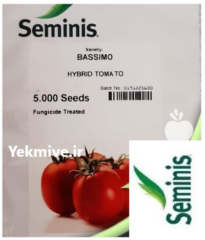 بذر گوجه فرنگی باسیمو سیمینس در جونقان در گروه خرید و فروش بذر گوجه در یکمیوه -عکس1