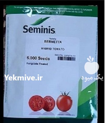 فروش بذر گوجه برنتا سمینیس در بلده در گروه خرید و فروش بذر گوجه در یکمیوه -عکس1