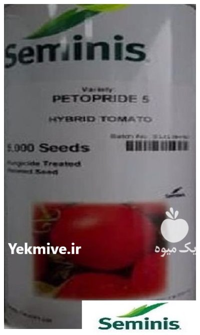 بذر گوجه فرنگی پتو پراید 5 در گروه خرید و فروش بذر گوجه در یکمیوه -عکس1