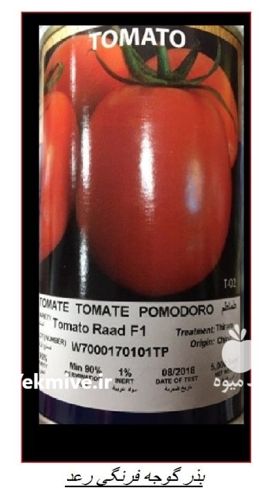 فروش و توزیع بذر گوجه رعد در چیتاب در گروه خرید و فروش بذر گوجه در یکمیوه -عکس1