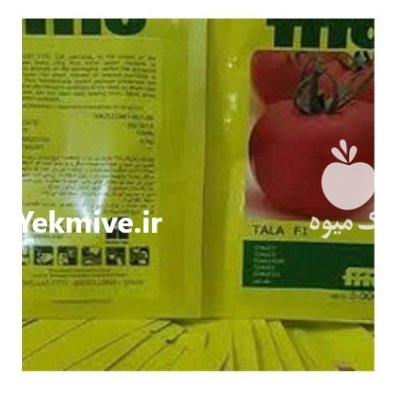 بذر گوجه فرنگی طلا در بندرگز در گروه خرید و فروش بذر گوجه در یکمیوه -عکس1