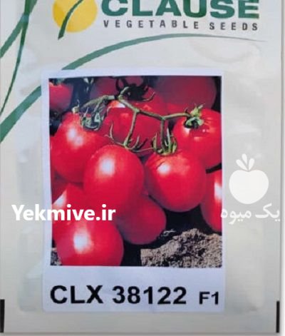 فروش بذر گوجه فرنگی کلوز 38122 در بیستون در گروه خرید و فروش بذر گوجه در یکمیوه -عکس1