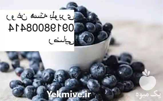 قیمت خرید قیمت روغن هسته ی در تهران در گروه خرید و فروش انواع روغن در یکمیوه -عکس1