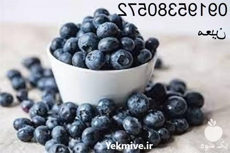 قیمت خرید کاربرد روغن بلوبری در تهران در گروه خرید و فروش انواع روغن در یکمیوه -عکس1