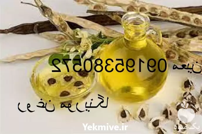 فروش قیمت عمده روغن مورینگا در تهران در گروه خرید و فروش انواع روغن در یکمیوه -عکس1