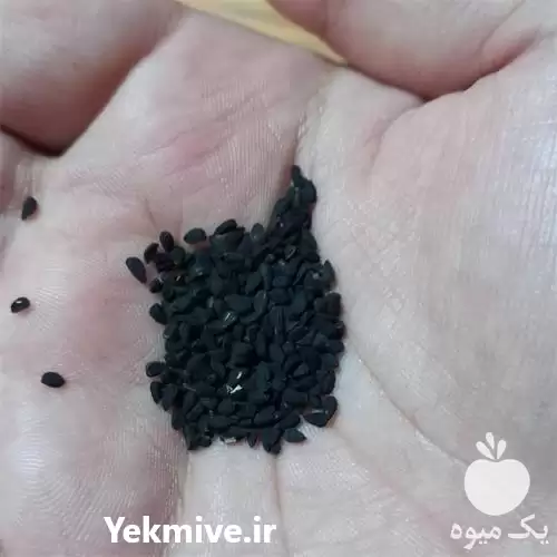 فروش سیاهدانه در گرگان در گروه خرید و فروش گیاهان دارویی در یکمیوه -عکس1