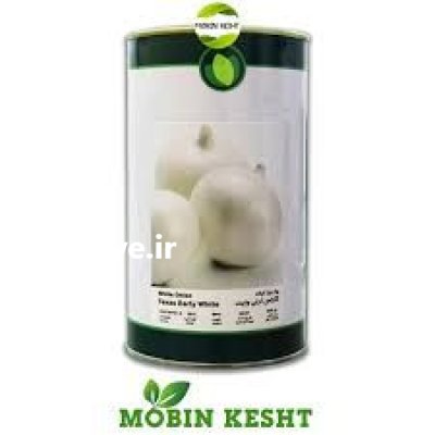 فروش بذر پیاز سفید ارلی وایت در کرمان در گروه خرید و فروش بذر پیاز در یکمیوه -عکس1