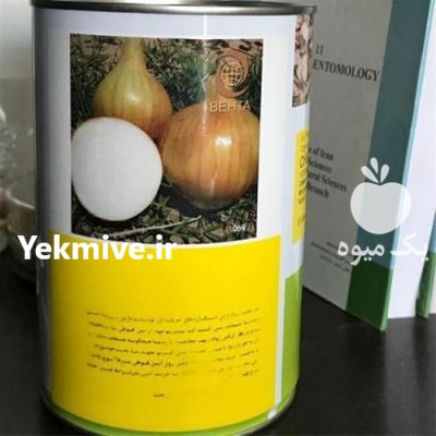 بذر پیاز سفید چلسی بذر نهال در شیراز در گروه خرید و فروش بذر پیاز در یکمیوه -عکس1
