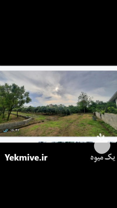 فروش یک قطعه کشاورزی در خرم آباد در گروه فروش ملک و زمین در یکمیوه -عکس1