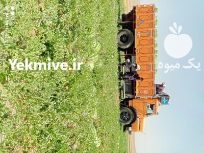 فروش هندوانه در رزن  در گروه خرید و فروش هندوانه در یکمیوه -عکس2