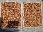 خرمای زاهدی درجه لوکس قیروکارزین در ایلام