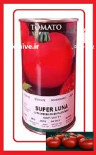 بذر گوجه فرنگی سوپر لونا در آبعلی در گروه خرید و فروش بذر گوجه در یکمیوه