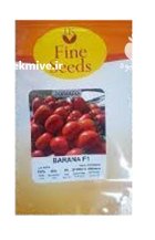 توزیع بذر گوجه فرنگی بارانا در بلبان آباد در گروه خرید و فروش بذر گوجه در یکمیوه