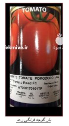 فروش و توزیع بذر گوجه رعد در چیتاب در گروه خرید و فروش بذر گوجه در یکمیوه