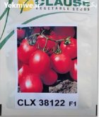 فروش بذر گوجه فرنگی کلوز 38122 در بیستون در گروه خرید و فروش بذر گوجه در یکمیوه