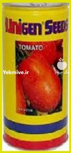 بذر گوجه فرنگی یونی ژن در آرین شهر در گروه خرید و فروش بذر گوجه در یکمیوه