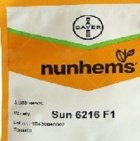 فروش بذر گوجه 6216 سانسید در بندرگز در گروه خرید و فروش بذر گوجه در یکمیوه