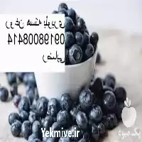 قیمت خرید قیمت روغن هسته ی در تهران در گروه خرید و فروش انواع روغن در یکمیوه