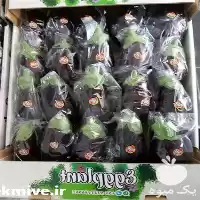 فروش بادمجان لامپی صادراتی فلفل رنگی در تهران در گروه خرید و فروش بادمجان در یکمیوه