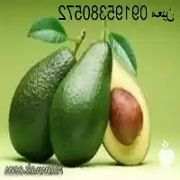 قیمت خرید خواص روغن آووکادو در تهران در گروه خرید و فروش انواع روغن در یکمیوه
