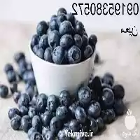 قیمت خرید کاربرد روغن بلوبری در تهران در گروه خرید و فروش انواع روغن در یکمیوه