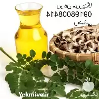 فروش روغن مورینگا در تهران در گروه خرید و فروش انواع روغن در یکمیوه