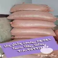 خرید فروش محصولات کشاورزی بذر ذرت در گروه خرید و فروش محصولات کشاورزی در یکمیوه