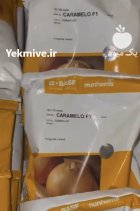 بذر پیاز کاراملو خرده و عمده در بندرعباس در گروه خرید و فروش بذر پیاز در یکمیوه