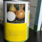 فروش بذر پیاز سفید چلسی در گروه خرید و فروش بذر پیاز در یکمیوه