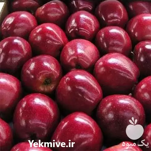 قیمت خرید سیب درختی در اصفهان در گروه خرید و فروش سیب در یکمیوه -عکس1